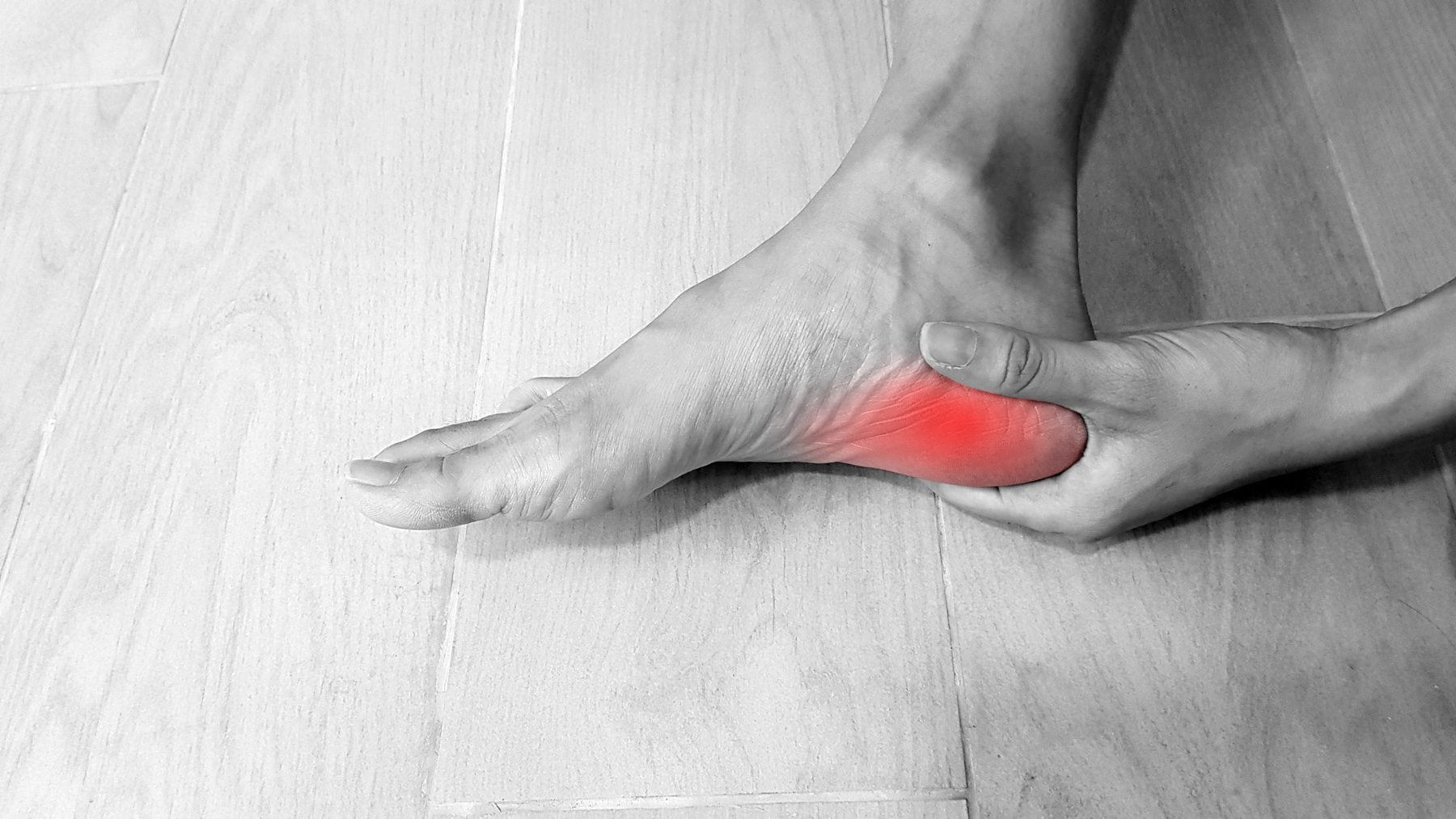 Foot anatomy with red highlight on painful area.  Heel pain may cause from muscle strain, tendinitis, ligament sprain, arthritis, bone fracture or plantar fasciitis disease. medical symptom concept